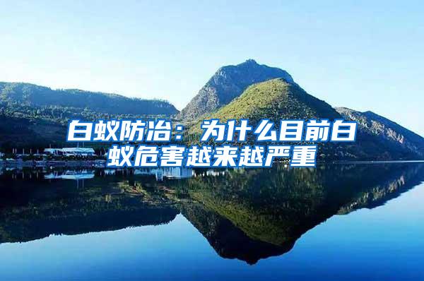 白蟻防冶：為什么目前白蟻危害越來越嚴(yán)重