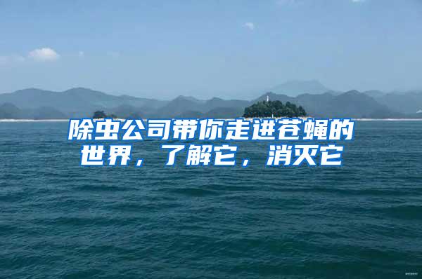 除蟲公司帶你走進蒼蠅的世界，了解它，消滅它