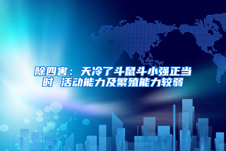 除四害：天冷了斗鼠斗小強(qiáng)正當(dāng)時(shí) 活動能力及繁殖能力較弱
