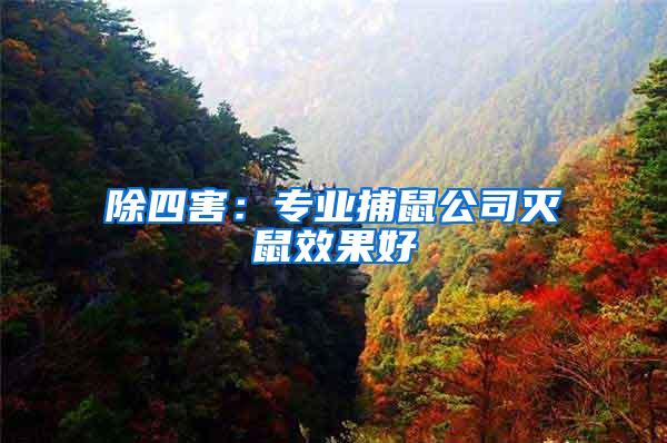 除四害：專業捕鼠公司滅鼠效果好