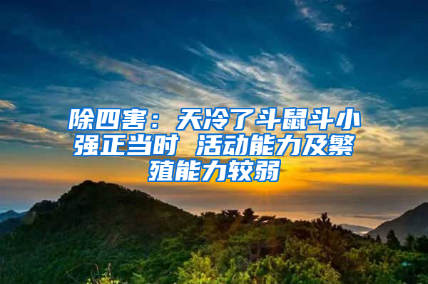除四害：天冷了斗鼠斗小強正當(dāng)時 活動能力及繁殖能力較弱