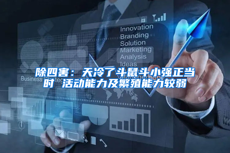 除四害：天冷了斗鼠斗小強(qiáng)正當(dāng)時(shí) 活動(dòng)能力及繁殖能力較弱