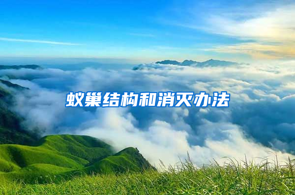 蟻巢結(jié)構和消滅辦法