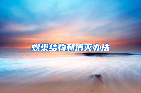 蟻巢結(jié)構(gòu)和消滅辦法