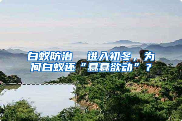 白蟻防治  進入初冬，為何白蟻還“蠢蠢欲動”？