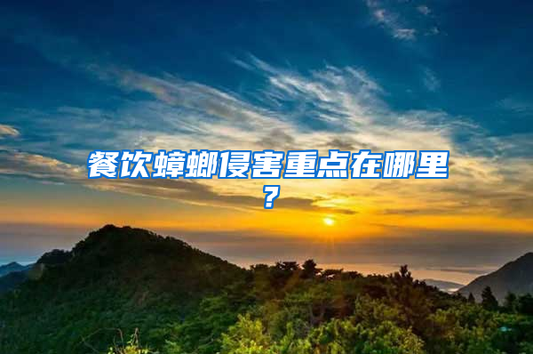 餐飲蟑螂侵害重點(diǎn)在哪里？