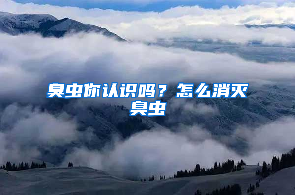 臭蟲你認(rèn)識嗎？怎么消滅臭蟲