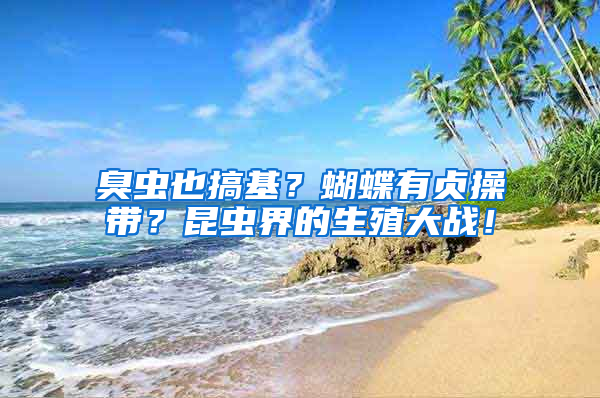 臭蟲也搞基？蝴蝶有貞操帶？昆蟲界的生殖大戰！