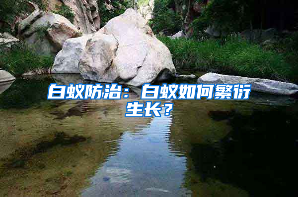 白蟻防治：白蟻如何繁衍生長？