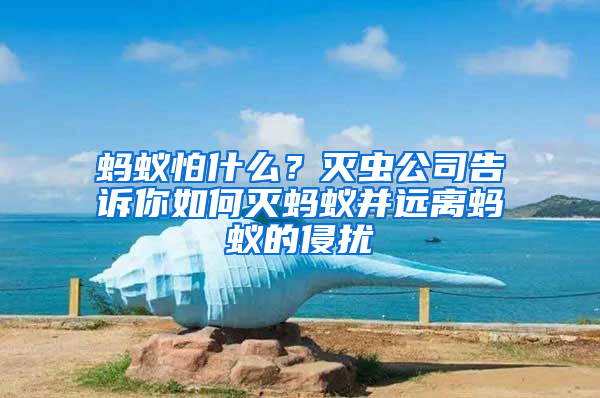 螞蟻怕什么？滅蟲公司告訴你如何滅螞蟻并遠(yuǎn)離螞蟻的侵?jǐn)_