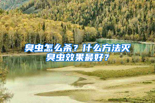 臭蟲(chóng)怎么殺？什么方法滅臭蟲(chóng)效果最好？