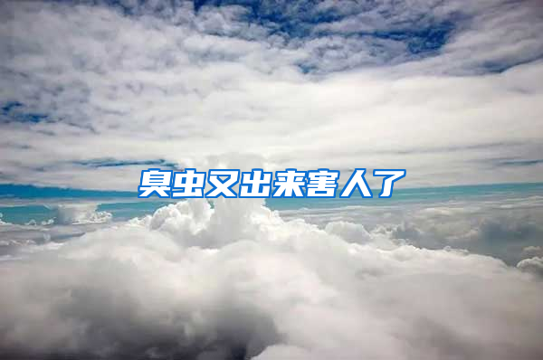 臭蟲(chóng)又出來(lái)害人了