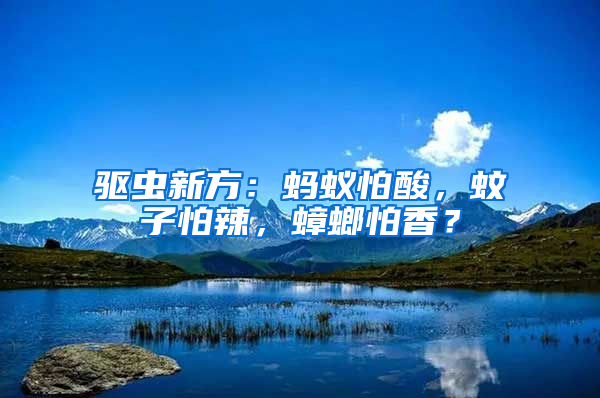 驅蟲新方：螞蟻怕酸，蚊子怕辣，蟑螂怕香？
