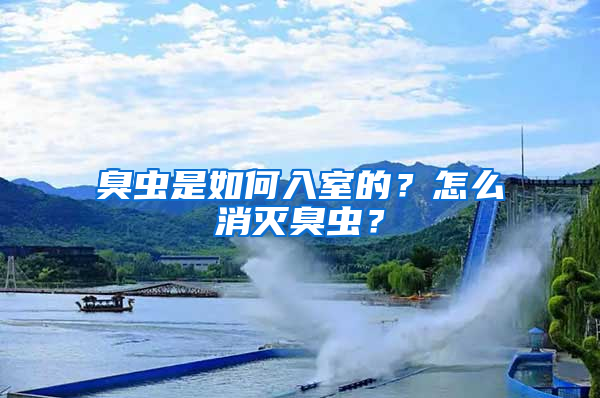 臭蟲是如何入室的？怎么消滅臭蟲？